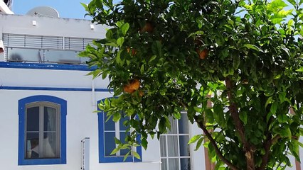 Albufeira, region Algarve w Portugalii, piątek 15 lipca 2016 r.