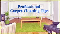 Professional Carpet Cleaning Tips