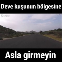 Deve kuşunu kızdıran bisikletçiler