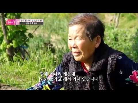 어디든 함께! 꼭 붙어 다니는 노부부[엄마의 봄날] 43회 20160523