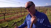 Climate change battle heats up for Australian winemakersasd