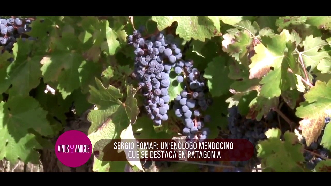 Vinos y Amigos Programa 155 Bloque 1