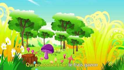 J'ai ramassé des champignons --- Chansons enfantines