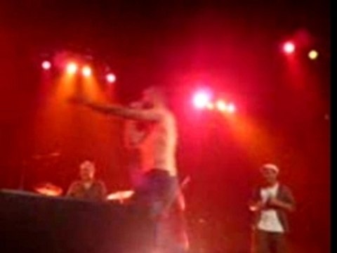 Zebda mon côté punk ministère affaires populaires transbo