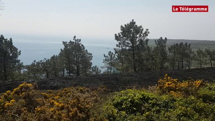 Crozon. 4.000 m² de landes partent en fumée