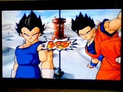 Dragon Ball Z Sparking Meteor - Fusion