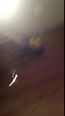 Chatham Water Damage