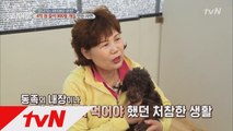 유기견 보호소, ′내사랑 바둑이′에 모인 아이들의 사연