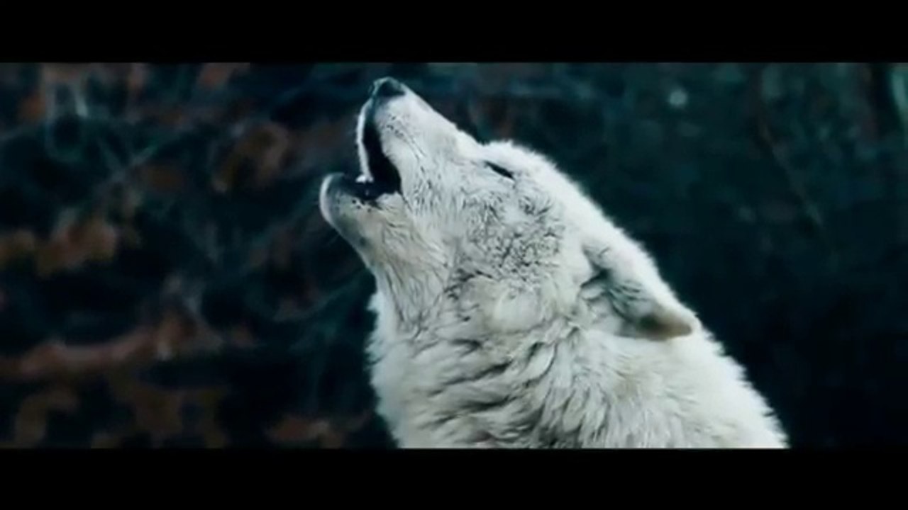 BMW M6 F13 Crazy Snow Drift