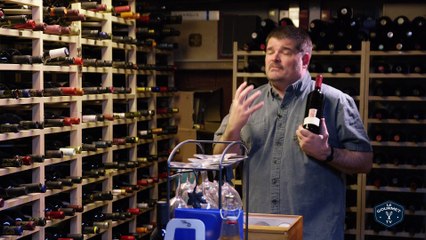 GrapeGuy Burrowing Owl 2012 Merlot
