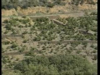 Les dieux du vin - Roussillon