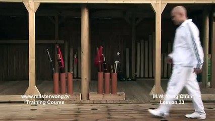 Wing Chun for beginners lesson 33 Block, grab and punch to the rib cage