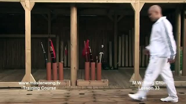 Wing Chun for beginners lesson 33 Block, grab and punch to the rib cage