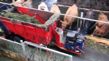 Avrupa'da bakın nasıl süt üretimi yapılıyor  -izleyelim