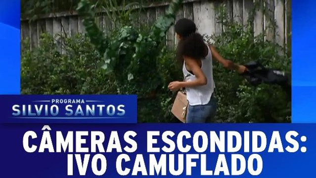Câmeras Escondidas: Ivo Camuflado