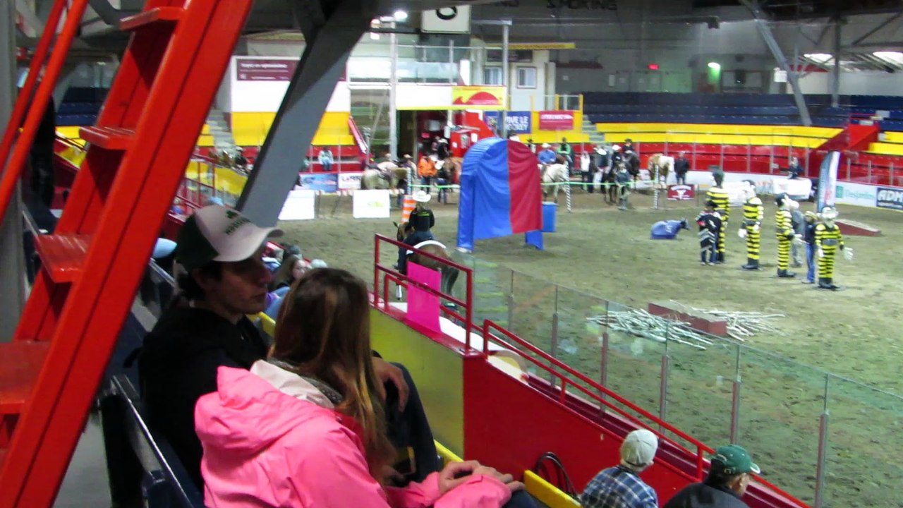 Vidéo Brazile Salon du cheval 2017 01