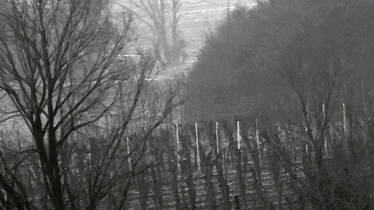 Shostakovich: Chamber Symphony in C Minor, Op. 110a: V. Largo