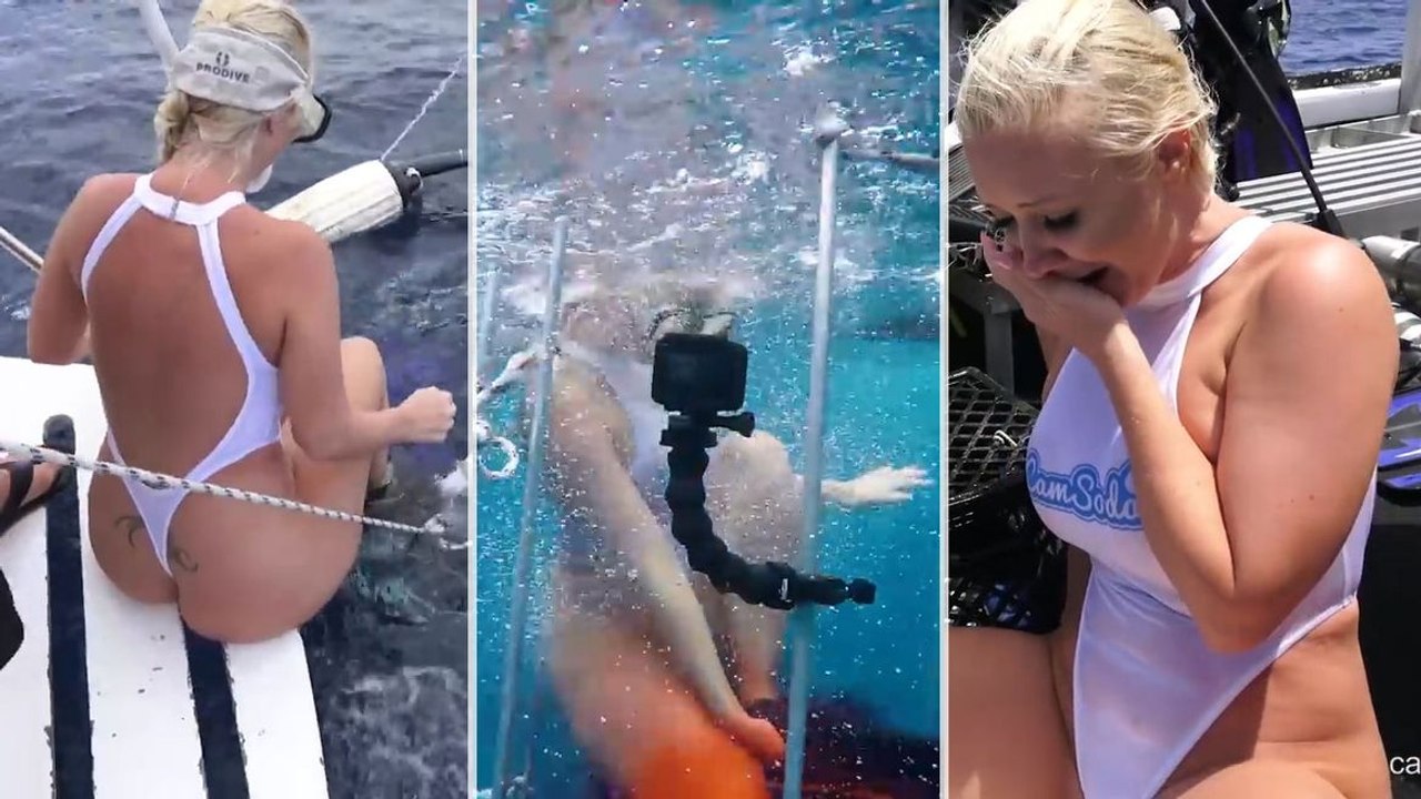 Model's shark cage shoot goes horrifically wrong as she's bitten underwater