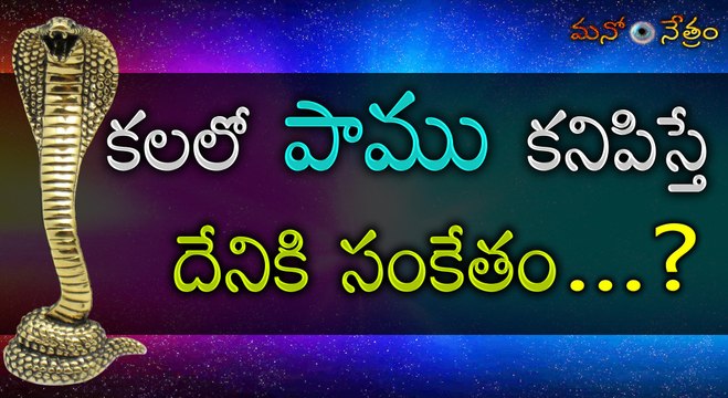 క‌ల‌లో పాము క‌నిపిస్తే ఏమౌతుందో చూడండి|What Does It Mean When You Dream About Snakes?