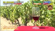 [HD]腸を知って身体のお悩み解決SP 160806 part3