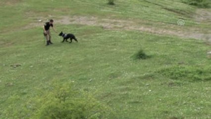 Türkiye Genelindeki Uyuşturucu Operasyonu