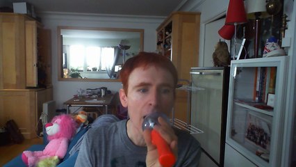 Wiwi égratigne "birds of paradise"