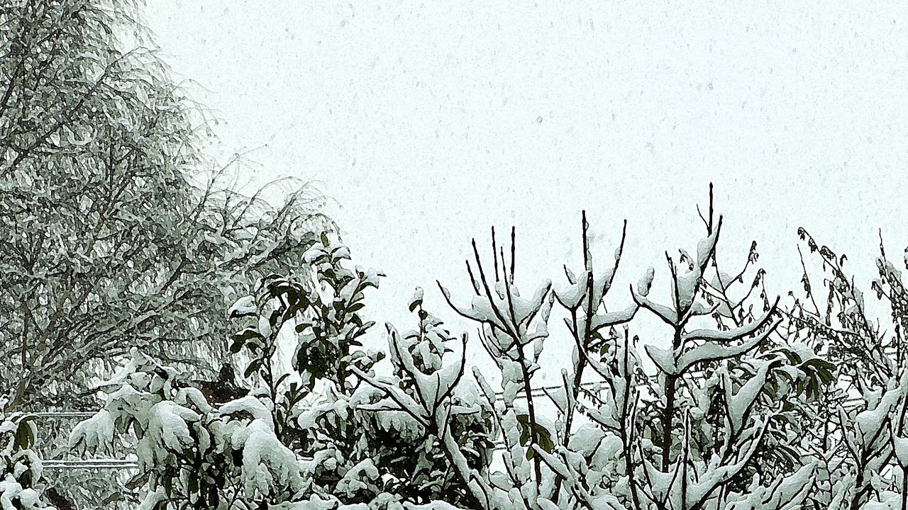 Brahms: Piano Sonata No. 3 in F Minor, Op. 5: IV. Intermezzo: Andante molto