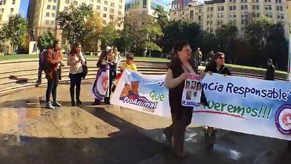 Manifestación por la ley tenencia responsable de animales y por la muerte del perro "Cholito"  ,Plaza de la Constitucióno