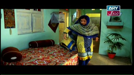 Haya Kay Rang Episode 81 - on Ary Zindagi in High Quality 8th May 2017