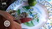 Cómida rápida: ostras mexicanas | Global 3000