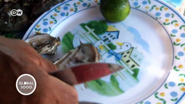 Cómida rápida: ostras mexicanas | Global 3000