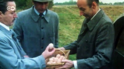 Con estilo: Citroën 2CV | Al volante