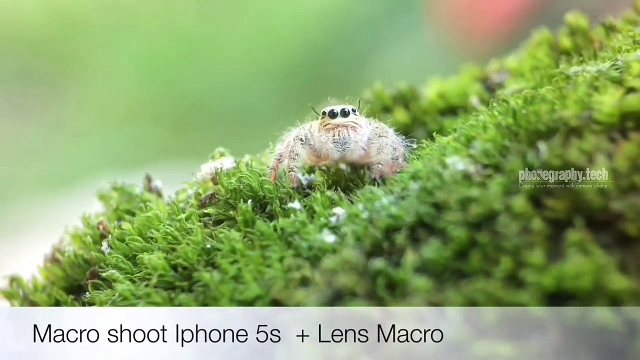 Macro Shoot Iphone 5s