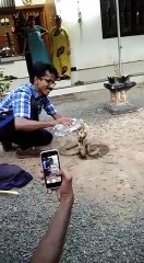 Snake drinking water -खतरनाक पल - एक सर्किल केरल के एक आदमी से पानी पीता है