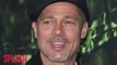 Brad Pitt Attended VIP Rehab After Split