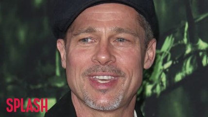 Brad Pitt Attended VIP Rehab After Split