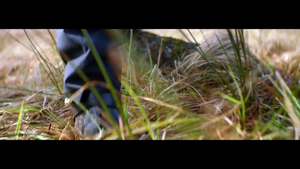 Harry Styles vuela alto en 'Sign of the Times'