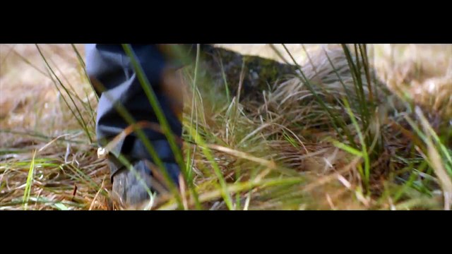 Harry Styles vuela alto en 'Sign of the Times'