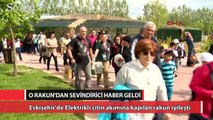 O Rakun'dan sevindirici haber geldi