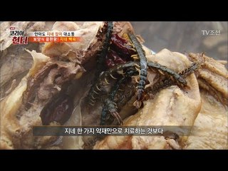 보양식 끝판왕! 지네 백숙! [뉴 코리아 헌터] 49회 20170508