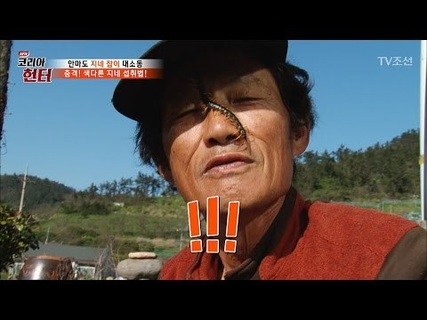 충격! 살아있는 지네를 손으로 잡아먹는 헌터! [뉴 코리아 헌터] 49회 20170508