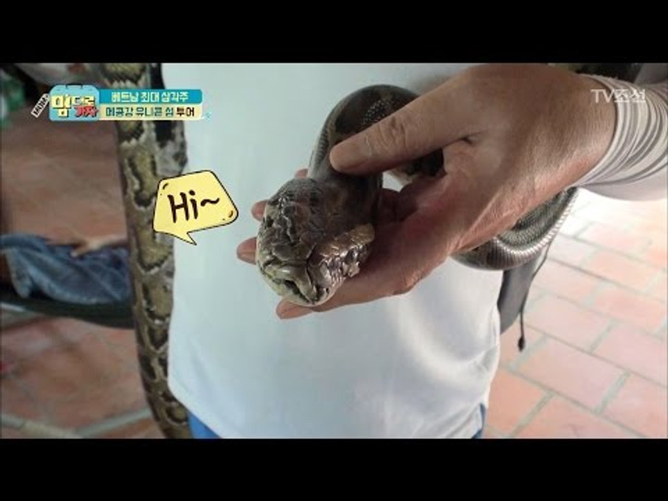 배...뱀을 둘러야 선물을 사준다? 제작진 너무하네! [맘대로 가자] 7회 20170508