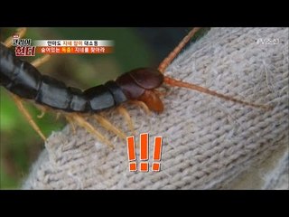 독충 지네! 오늘은 지네 제삿날 [뉴 코리아 헌터] 49회 20170508