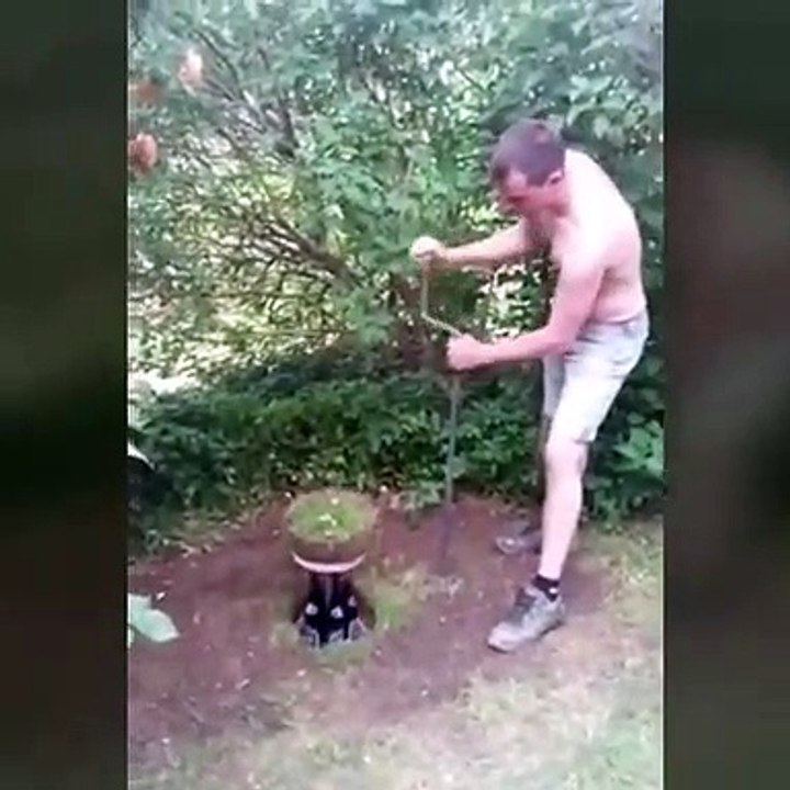 Funny Videos - Funny Clips Videos