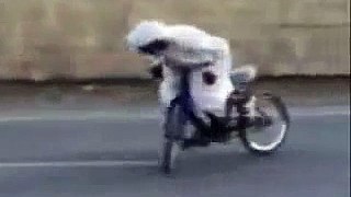 Funny Videos Arabic Funny Videos Arab compilation Fail Falling Pranks Clips slaps New Funn