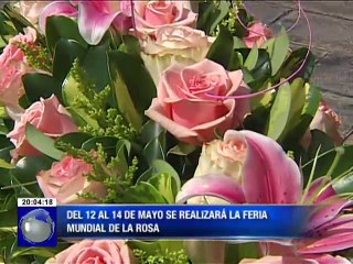 Todo listo para la Feria Mundial de la Rosa donde la rosa ecuatoriana es considerada la mejor del mundo