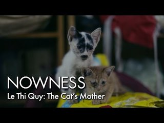 Saving Saigon's Cats