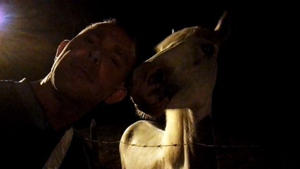 My Four Legged Best Friend