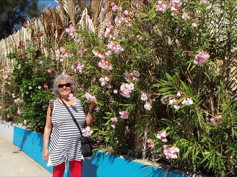 Los Cabos San Lucas Mexique 22 avril 2017