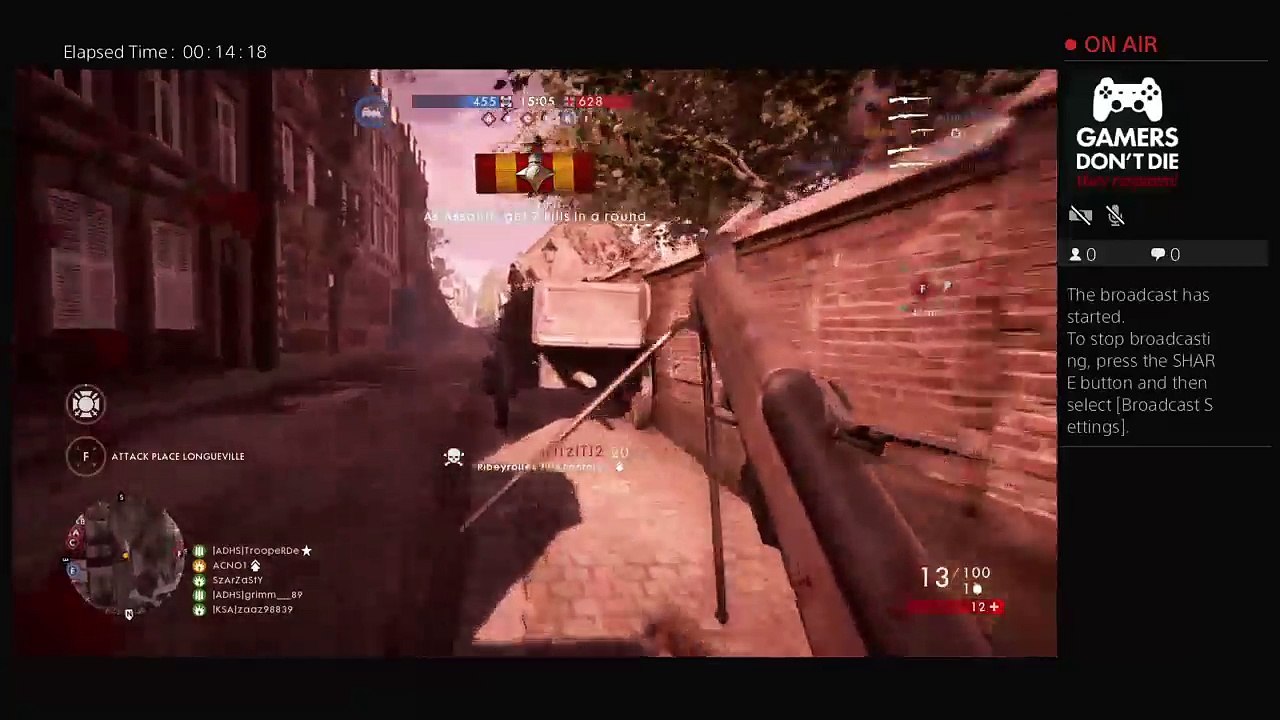 Battlefield 1 (4)